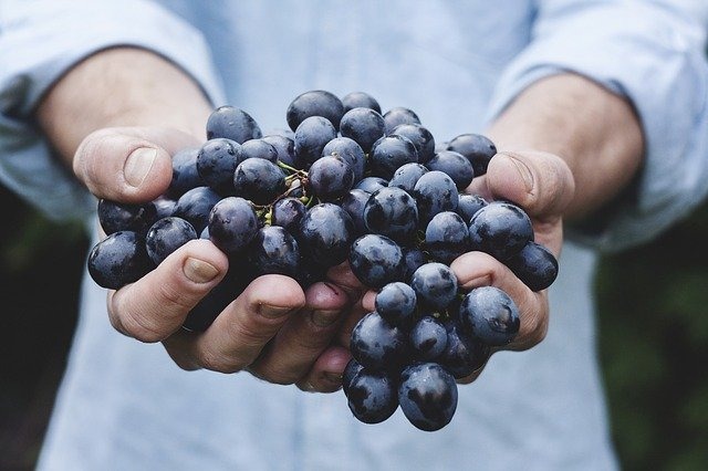 vitamin
